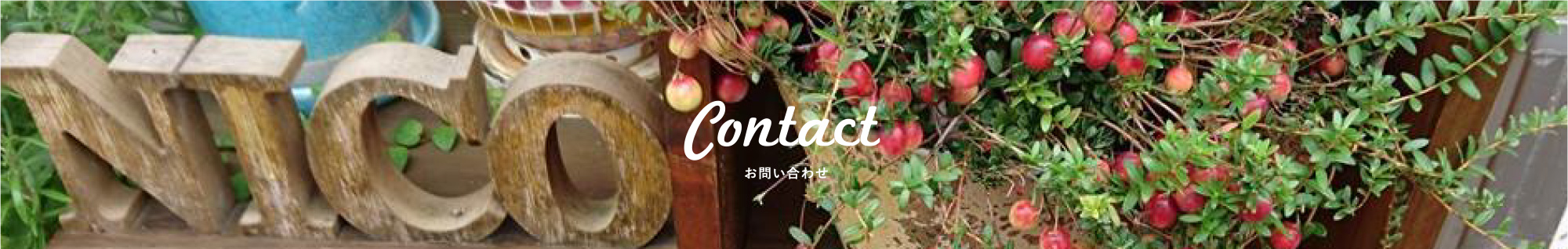 CONTACT